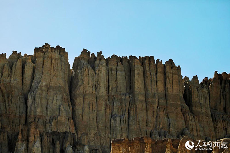 Тибеттег? Алиды? Занда топыра? орманымен таныс болы?ыз