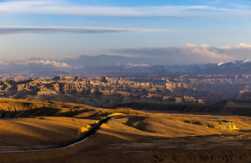 Тибеттег? Алиды? Занда топыра? орманымен таныс болы?ыз