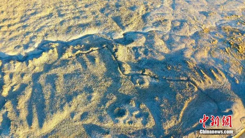 Cайдам ойпатында?ы ?ж?мба? та?ба?