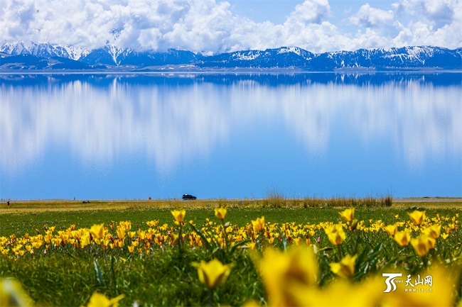 ?ыз?алда?тармен к?мкер?лген Сайрам к?л?