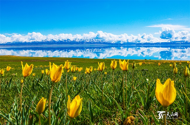 ?ыз?алда?тармен к?мкер?лген Сайрам к?л?