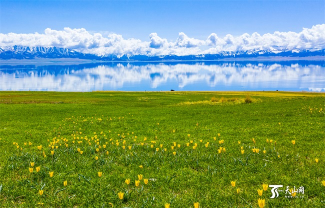 ?ыз?алда?тармен к?мкер?лген Сайрам к?л?