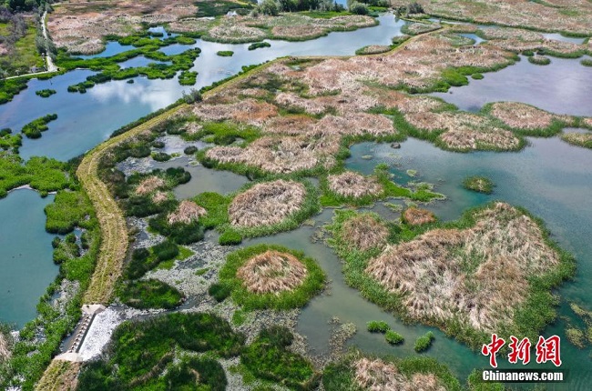 Тибеттег? Лалу сазды жер?н?? к?ркем к?р?н?с?