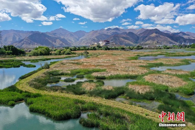 Тибеттег? Лалу сазды жер?н?? к?ркем к?р?н?с?