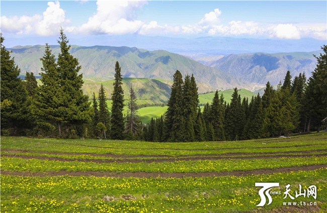 Жаз басында?ы Кер?мбек жайлауыны? ?сем келбет?