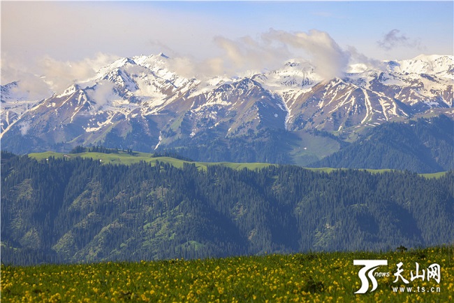 Жаз басында?ы Кер?мбек жайлауыны? ?сем келбет?