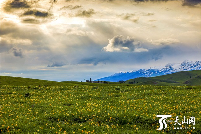 Жаз басында?ы Кер?мбек жайлауыны? ?сем келбет?