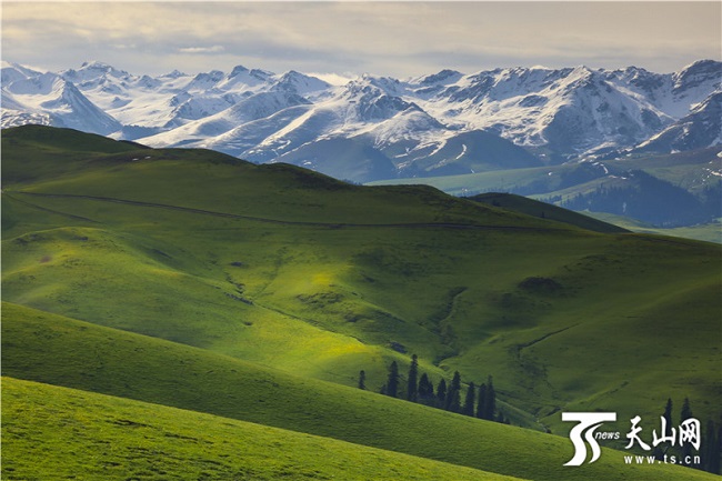 Жаз басында?ы Кер?мбек жайлауыны? ?сем келбет?