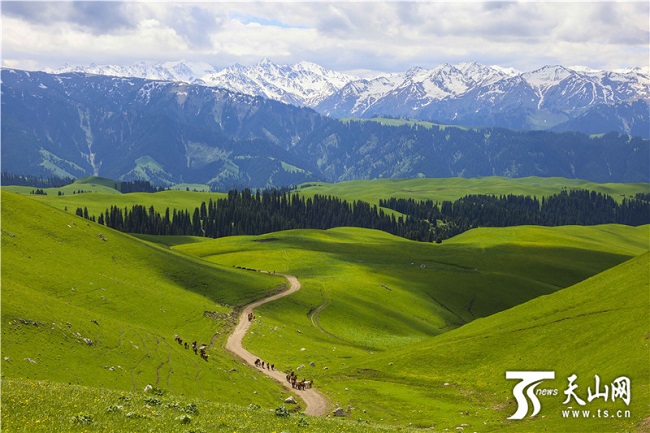 Жаз басында?ы Кер?мбек жайлауыны? ?сем келбет?