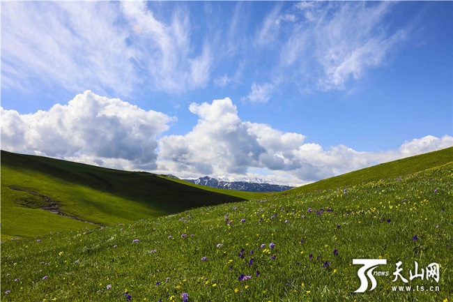 Жаз басында?ы Кер?мбек жайлауыны? ?сем келбет?