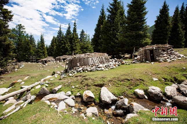 Шы?жа?ны? Барк?л жайлауы е? ?дем? маусым?а енд?