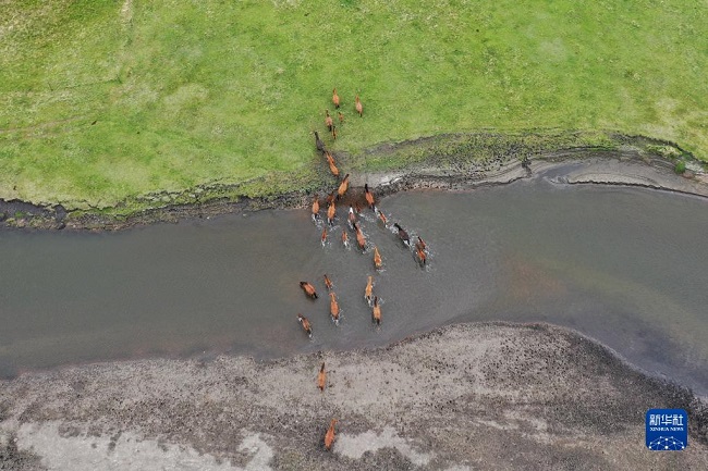 Жайлауда?ы Моргеле ?зен?