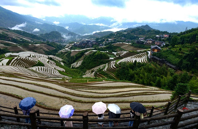 Лонджи сатылы атыздары туристерд? ?з?не баурады