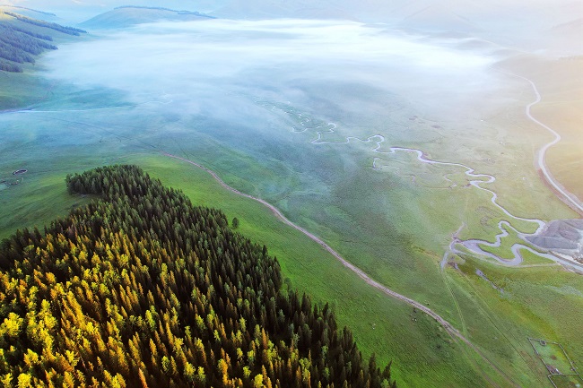 Алтай: жасыл жайлау мен дала г?лдер?н?? ж?пар и?с? а??ыды