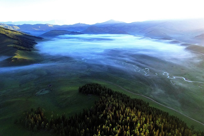 Алтай: жасыл жайлау мен дала г?лдер?н?? ж?пар и?с? а??ыды