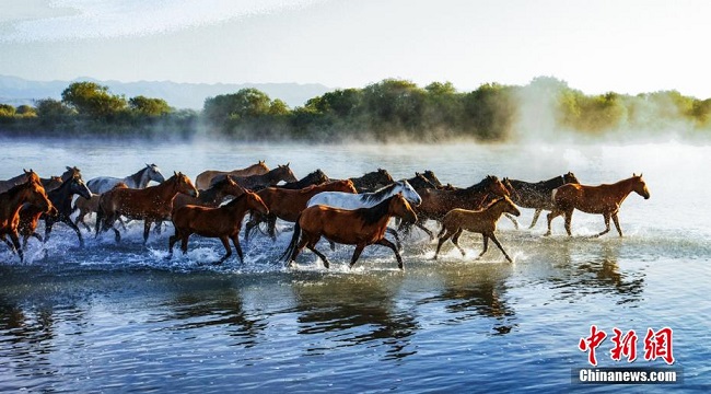 Та? н?рына шомыл?ан жыл?ылар