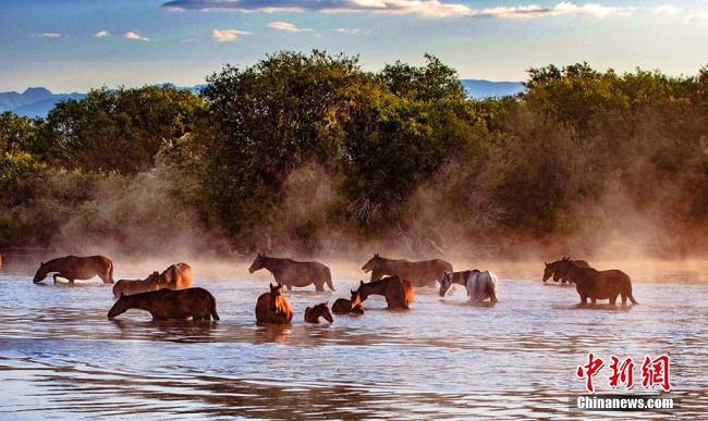 Та? н?рына шомыл?ан жыл?ылар
