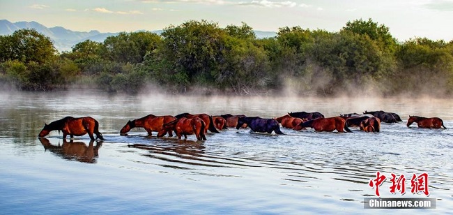 Та? н?рына шомыл?ан жыл?ылар