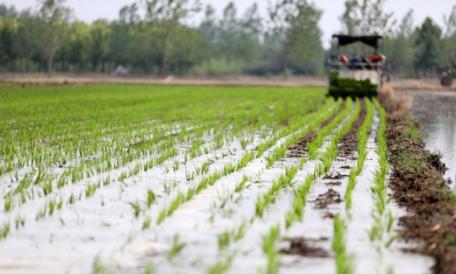 ?рб?р к?шет ?ш?н тынымсыз е?бек керек