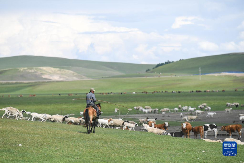 Хулунбейр жайлауыны? жаз?ы к?рк?