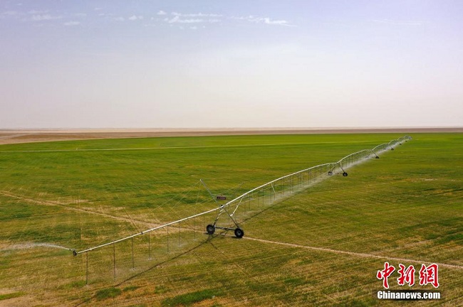 Шы?жа?да?ы ?Е? ?р? сиыр фермасы?