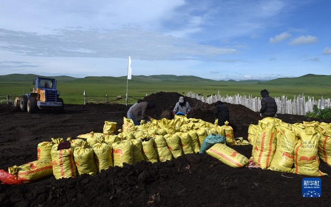 Батыс Сычуань ?ст?рт?ндег? заманауи малшылар