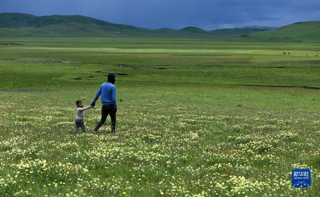 Батыс Сычуань ?ст?рт?ндег? заманауи малшылар