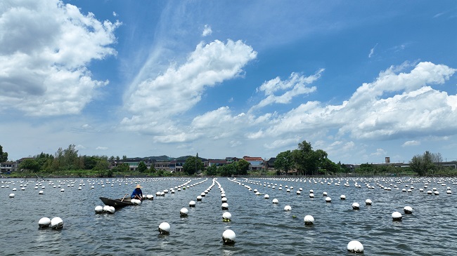 ?нжу т?збег?мен ?р?лген ?к?ркем экономика?