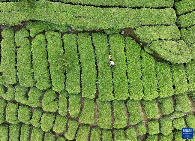 Жазда?ы жиын-тер?м