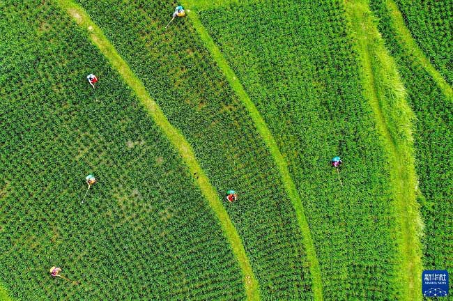 Жазда?ы жиын-тер?м