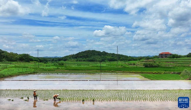 Жазда?ы жиын-тер?м