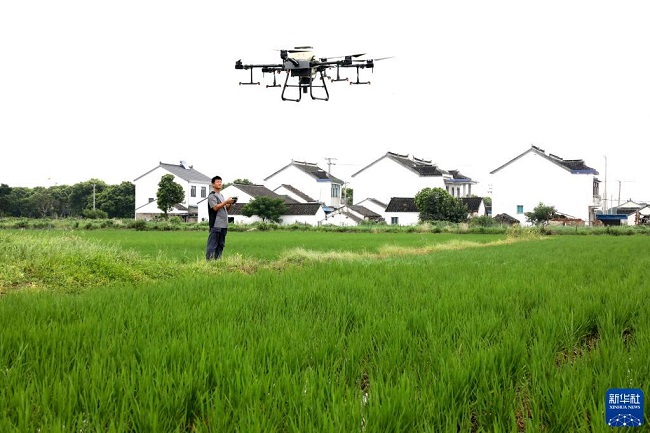 Жазда?ы жиын-тер?м