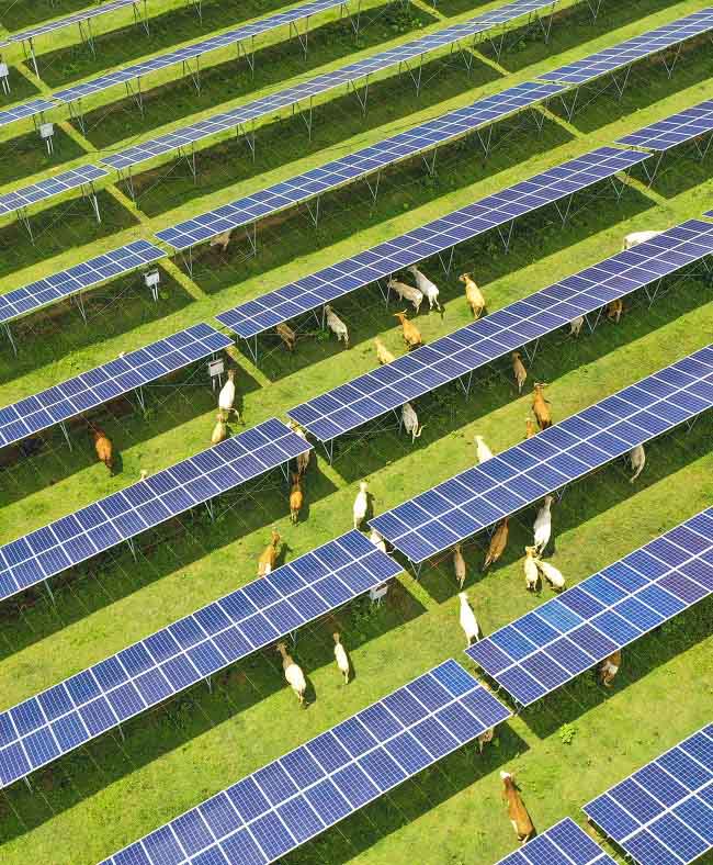 Хэнань ?лкес? электр энергиясын ?нд?ру мен мал ?с?руд?? т?зг?н?н те? ж?рг?зуде