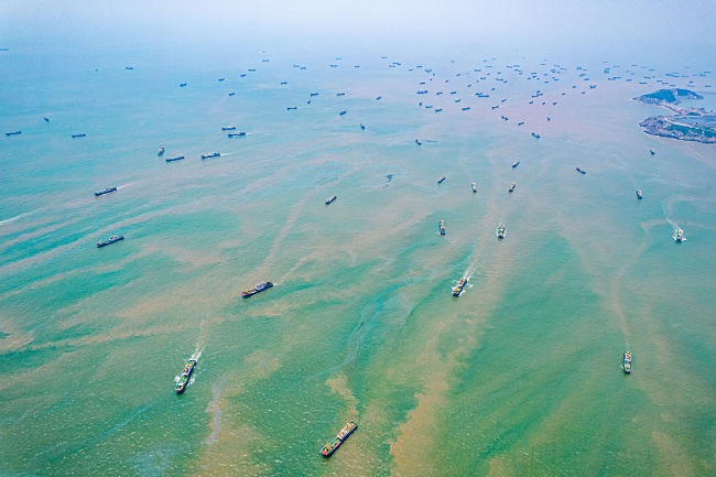 Мы?да?ан желкендер балы? аулауды бастады