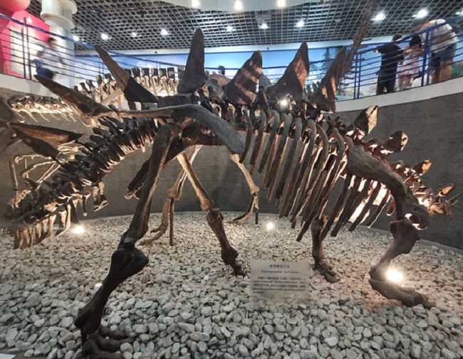 Бейж?? таби?и тарих м?ражайы 2022 жыл?ы ?М?ражай т?н?н? ашты