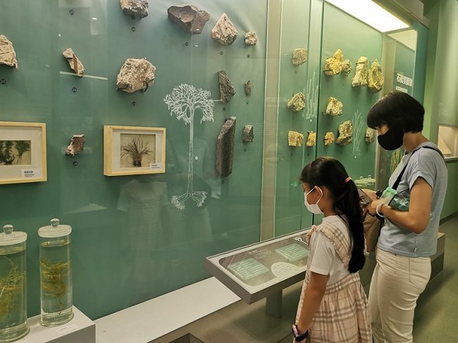 Бейж?? таби?и тарих м?ражайы 2022 жыл?ы ?М?ражай т?н?н? ашты