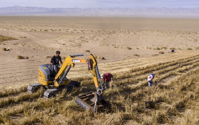 А?сай ?аза? автономиялы? ауданында?ылар ?ст?рттег? ??мды т?зг?ндеумен ?б?гер