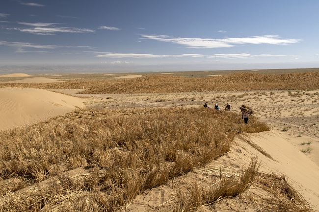 А?сай ?аза? автономиялы? ауданында?ылар ?ст?рттег? ??мды т?зг?ндеумен ?б?гер