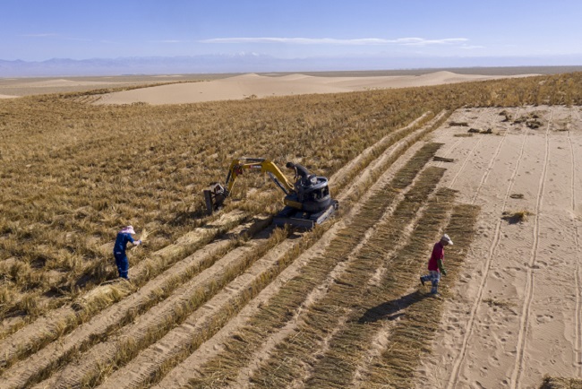 А?сай ?аза? автономиялы? ауданында?ылар ?ст?рттег? ??мды т?зг?ндеумен ?б?гер