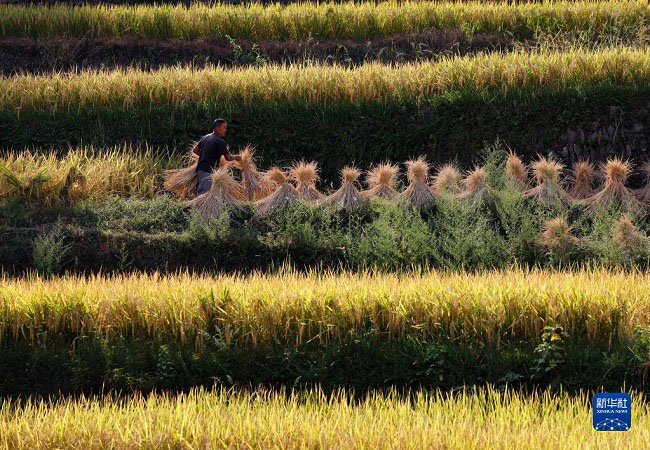 К?зг? жиын-тер?н