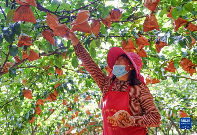 К?зг? жиын-тер?н