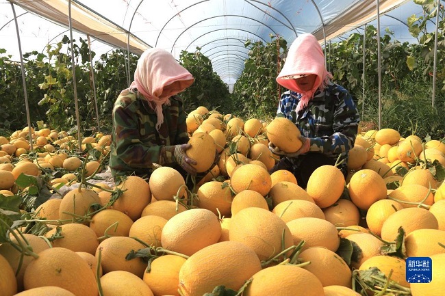 К?зг? жиын-тер?н