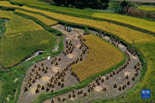 К?зг? жиын-тер?н