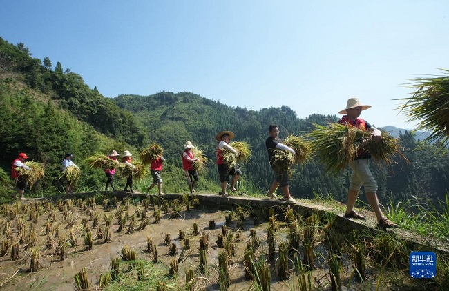 К?зг? жиын-тер?н