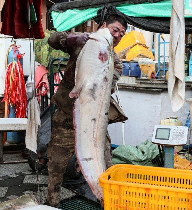 ?ытайды? Шы?ыс полюс балы? базары