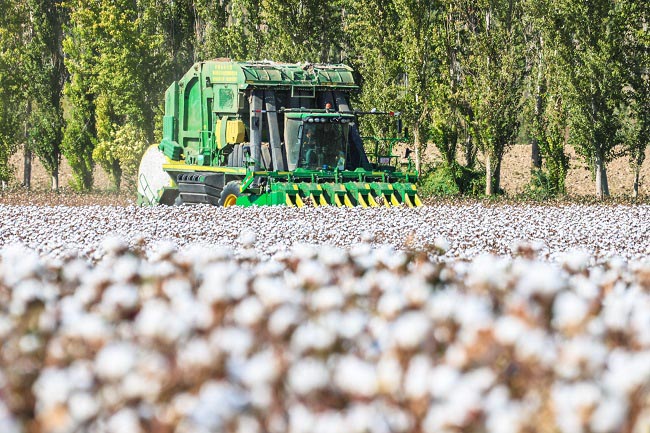 Шы?жа?ны? Б?ратала облысында?ы ма?та ?нд?р?с?