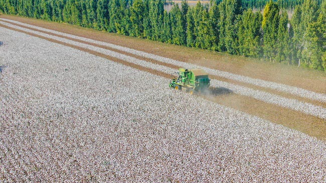 Шы?жа?ны? Б?ратала облысында?ы ма?та ?нд?р?с?