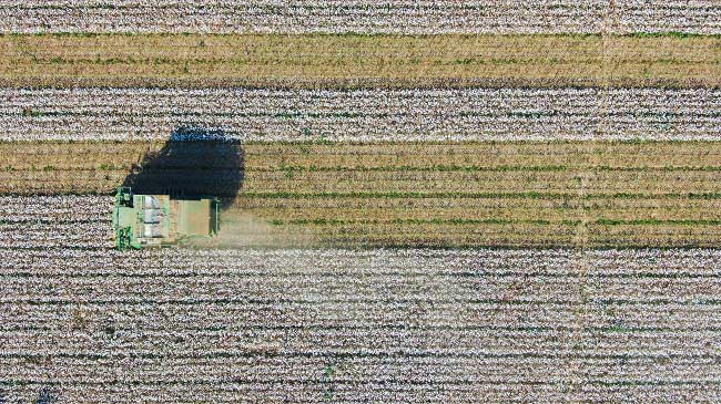 Шы?жа?ны? Б?ратала облысында?ы ма?та ?нд?р?с?