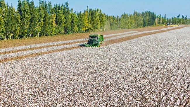 Шы?жа?ны? Б?ратала облысында?ы ма?та ?нд?р?с?