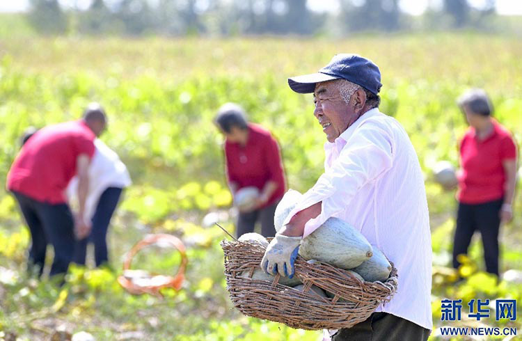 ?ытай Т?ра?асы фермерлерд?? ег?н жинау фестивал?не ысты? ы?ыласты с?лем?н жолдады